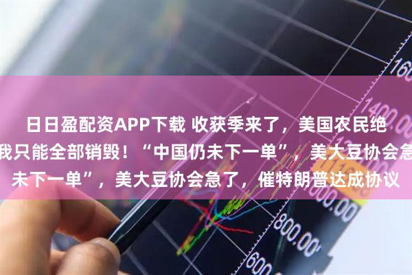 日日盈配资APP下载 收获季来了，美国农民绝望哭诉：中国不买了，我只能全部销毁！“中国仍未下一单”，美大豆协会急了，催特朗普达成协议