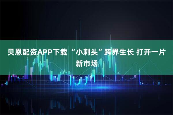 贝恩配资APP下载 “小刺头”跨界生长 打开一片新市场