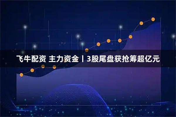 飞牛配资 主力资金丨3股尾盘获抢筹超亿元